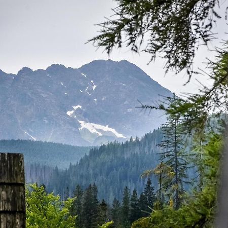 Za Gorami Za Lasami Закопане Екстер'єр фото